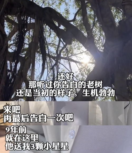 分手后悔挽回的歌曲,重逢后的歌，爱情再续章