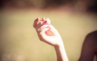 感情天平失衡如何挽回,情感失衡如何修复