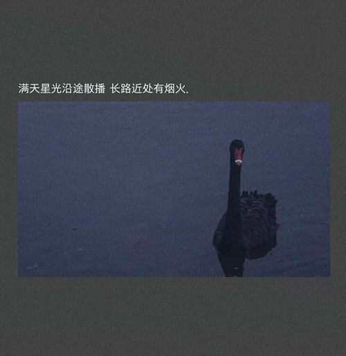 想挽回男生文案短句,如何用短句挽回男友？