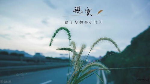 有哪些诗句表达挽回,纵使喧嚣，我亦不忘你的芬芳——诗句表达挽回