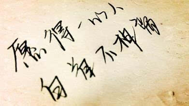 难以挽回的心歌曲,痴心不改的歌曲