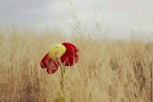 缘分错过可以挽回吗,错过的缘分还能抓住吗