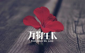 男人不会挽回的表现,男人放弃了的表现