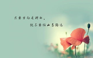 拾花情感挽回机构,挽回爱情，拾花情感是您的不二选择