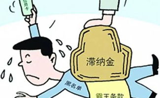 如何挽回滞纳金,减免违约金攻略，挽回遭受滞纳金的损失