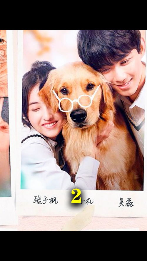 怎么重新挽回狮子男朋友，如何让狮子男友重新爱上你？