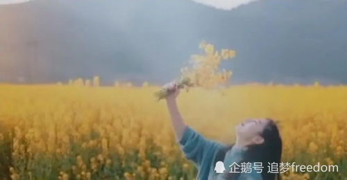 每天挽回然后断联,挽回再断，每日重复