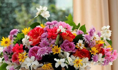 送花挽回自己的老婆,挽回老婆爱意，献上鲜花情意！