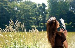 情侣要分手挽回嘛,如何挽回情侣关系