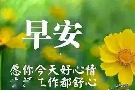 挽回爱情图片早安文案,挽回爱情的早安祝福