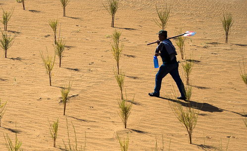 天灾过后怎么挽回农民,如何帮助农民度过天灾后