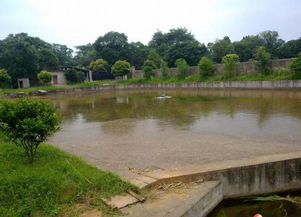 鱼塘被炸了怎么挽回,挽回鱼塘受损状态