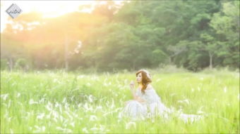 分手后挽回的迹象,挽回爱情，分手后的迹象