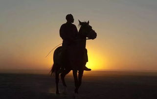 别等失去才挽回,珍惜眼前人，别等后悔才来挽回