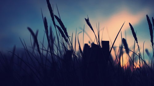 过年了想要挽回她,如何在新年挽回她？