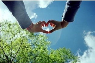 双鱼怎样才能挽回,挽回爱情：双鱼该如何做？