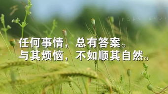 励志挽回老婆的话语,励志挽回爱情，赢回妻子的心