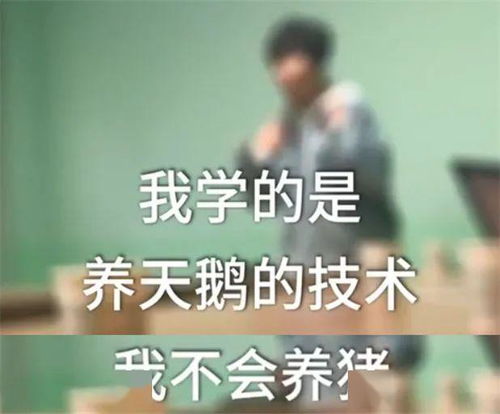 有的错无法挽回,错误如此严重，无法弥补