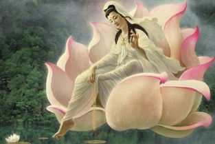 濒临破碎婚姻念佛挽回,念佛拯救婚姻，挽回爱情