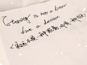 失去挽回不了的诗词,无可挽回的诗句重新命名