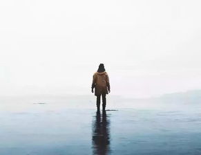 被人冷落怎么挽回她呢,如何挽回被冷落的TA