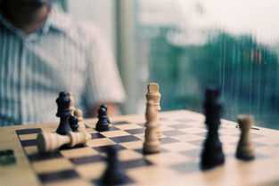 被骗的感情该如何挽回，如何从失恋中走出来？