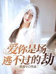 子晟挽回少商小说,少商小说《子晟》情感故事)