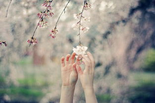 挽回爱情的最后办法,重获爱人心的秘诀