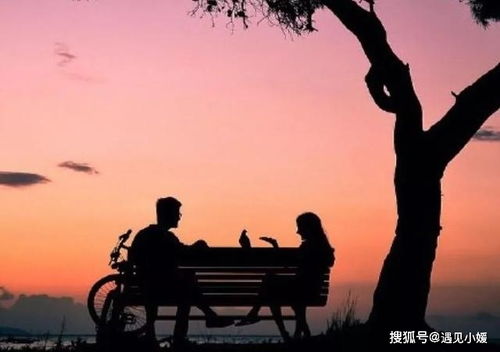 挽回旅行发的句子,挽回旅行，重拾美好的回忆