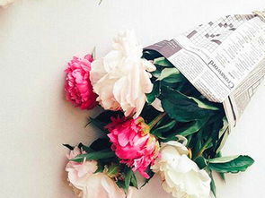 挽回前妻送什么花,如何挽回前妻：送什么花最合适？