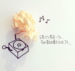 心死的女人挽回机率,女人心死如何挽回？概率分析！