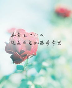 恋爱时光挽回诗词,恋情重生，诗词相伴