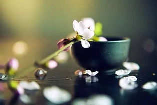 有遗憾要去挽回吗,有所遗憾，要不要去挽回？