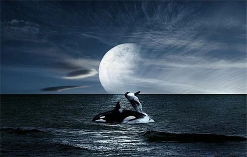 月亮逆位挽回方法,月亮逆位：拯救爱情的技巧