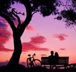 说再多都挽回不了,改变不了的结果：重写标题的艺术