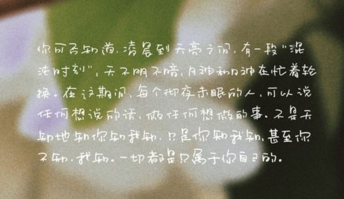 小众高级挽回情话简短,高级挽回情话，让TA回来