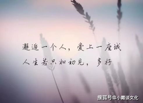 挽回前任感动哭语录,感人的挽回前任语录