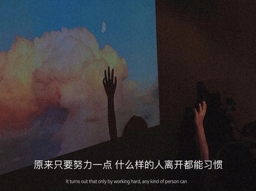 挽回前任的快穿文,“前任归来，我要挽留”