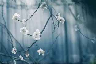 挽回男人心的诗词,挽回心意：古诗重塑