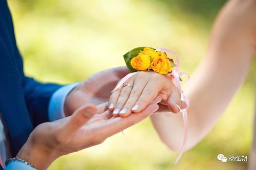 怎么挽回女婿的婚姻,挽救女婿婚姻的方法