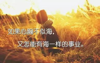 重塑人生专业情感挽回，从挽回情感到全新人生——情感挽回专业