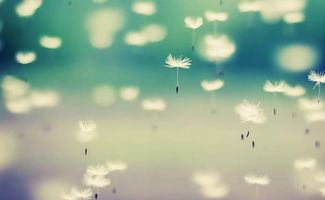 珍爱情感挽回师,情感挽回师珍惜真爱