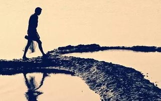 如何挽回以前的客户,如何重返失去的客户？