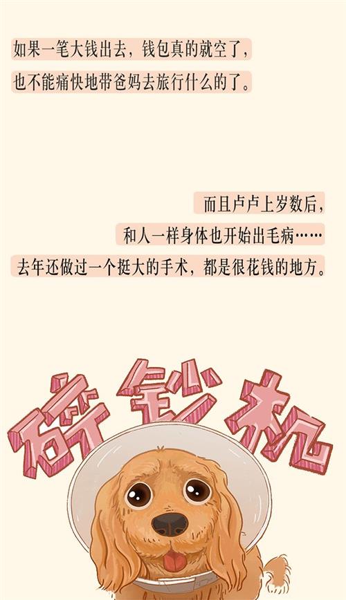 越逞强越想挽回,不要过分争执，让爱回来