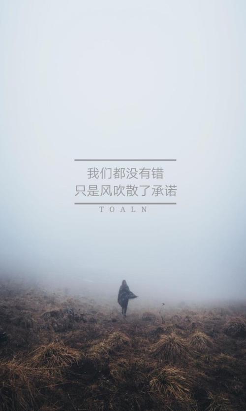 无法挽回句子图片,无可挽回：看着奈何桥，踟蹰不前