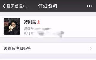 感情挽回女友备注朋友,如何成功挽回女友