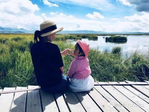 男子机智挽回惊险局面,男子巧妙化解危机