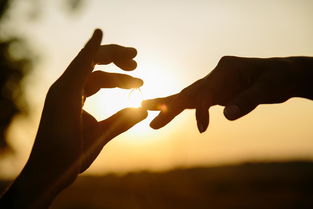 男生提分手别挽回,男生自行离去，别妄想挽回