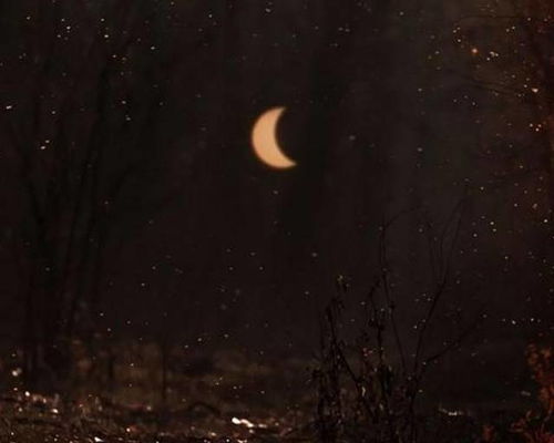 被天蝎甩怎么挽回，挽回被天蝎抛弃的秘诀