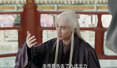 帝君要挽回凤九，帝君为了心爱的人付出了一切，他会珍惜。